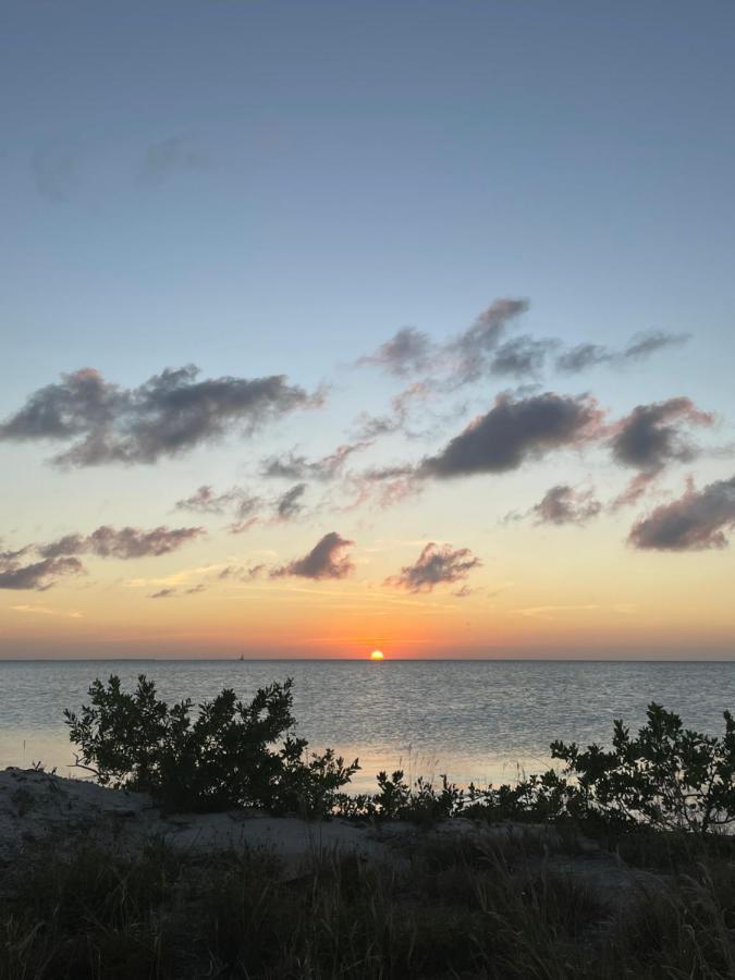 The Coral Casa Villa Caye Caulker Exteriör bild
