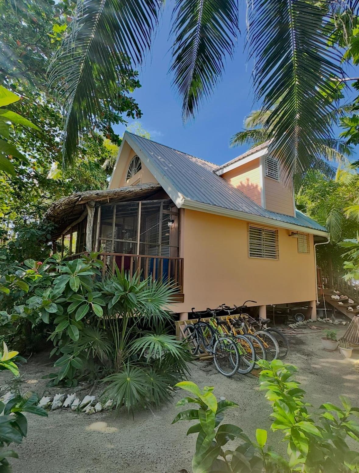 The Coral Casa Villa Caye Caulker Exteriör bild